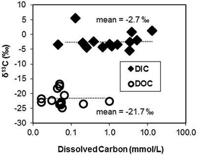 Integration of Metagenomic and Stable Carbon Isotope Evidence Reveals the Extent and Mechanisms of Carbon Dioxide Fixation in High-Temperature Microbial Communities